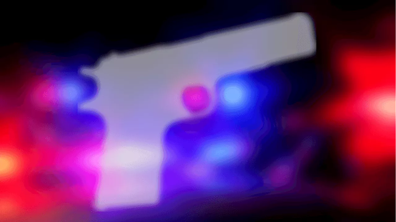 City of Mobile to host Town Hall on gun violence April 10