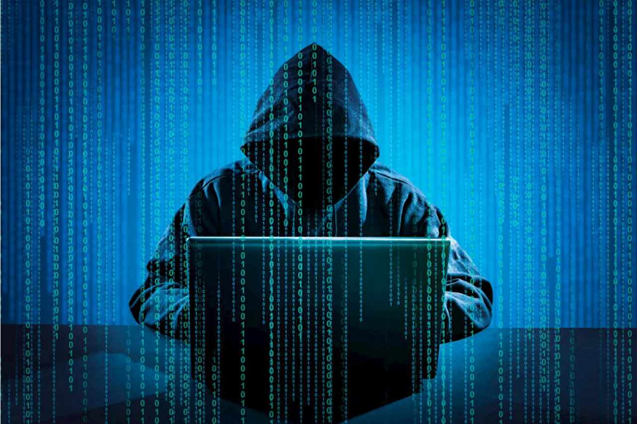 'You just need bad intentions and a bit of money' - Cybercrime on the rise