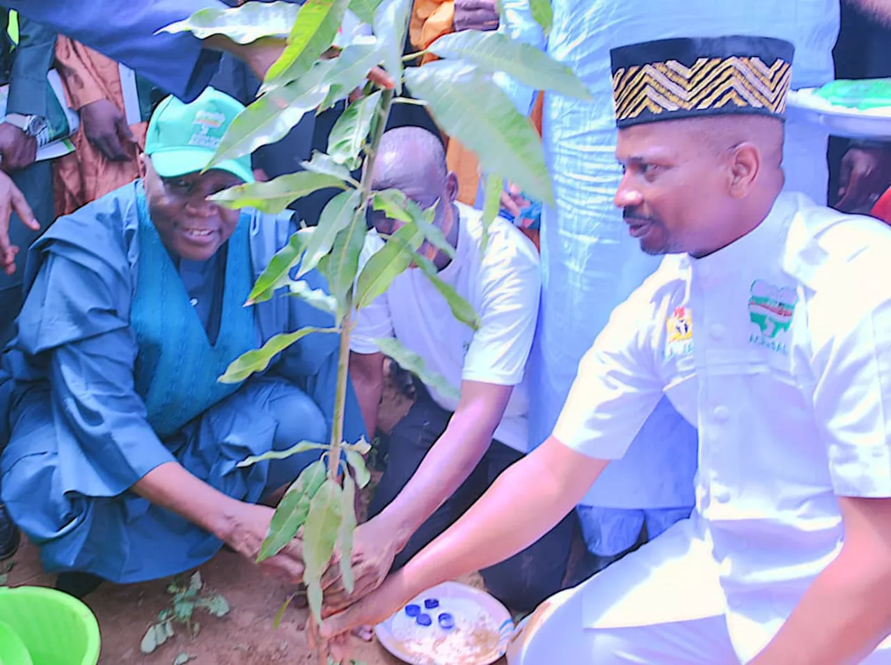 Climate Watch: Gombe planted 4m trees in four years, says Inuwa Yahaya