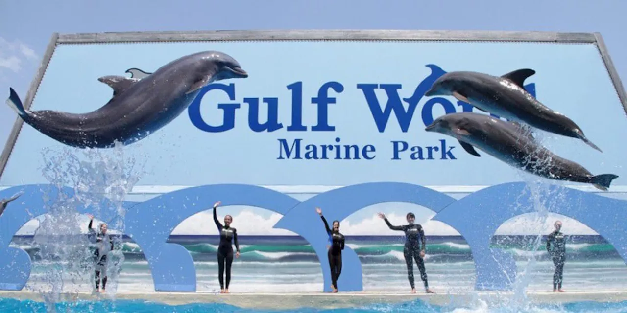 Investigations continue into Gulf World Marine Park