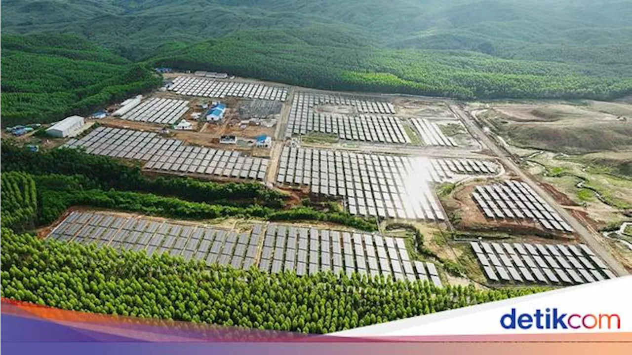 Kejar Transisi Energi dan Ekonomi Hijau, Pemerintah Bentuk Satgas