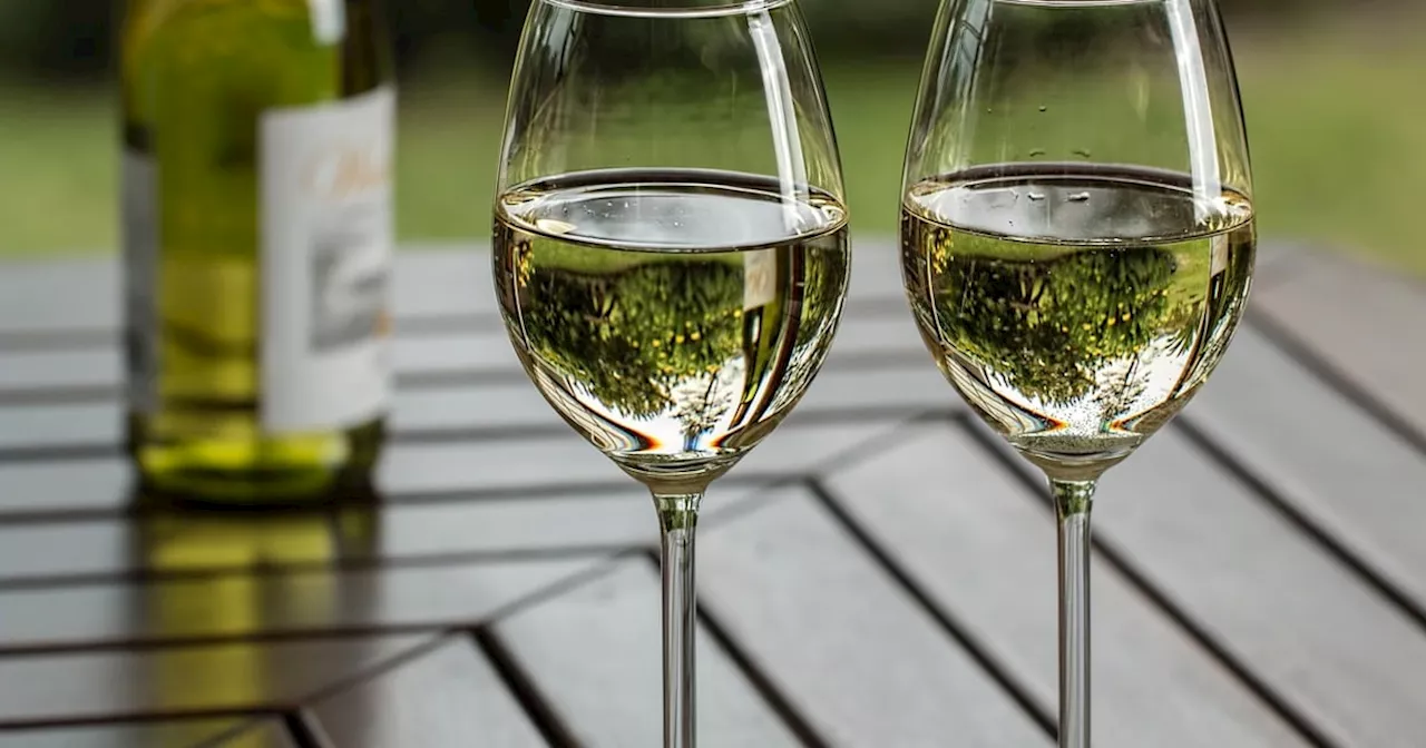 Govt urged to reconsider excise duty on wine, to target pensions instead of hiking VAT