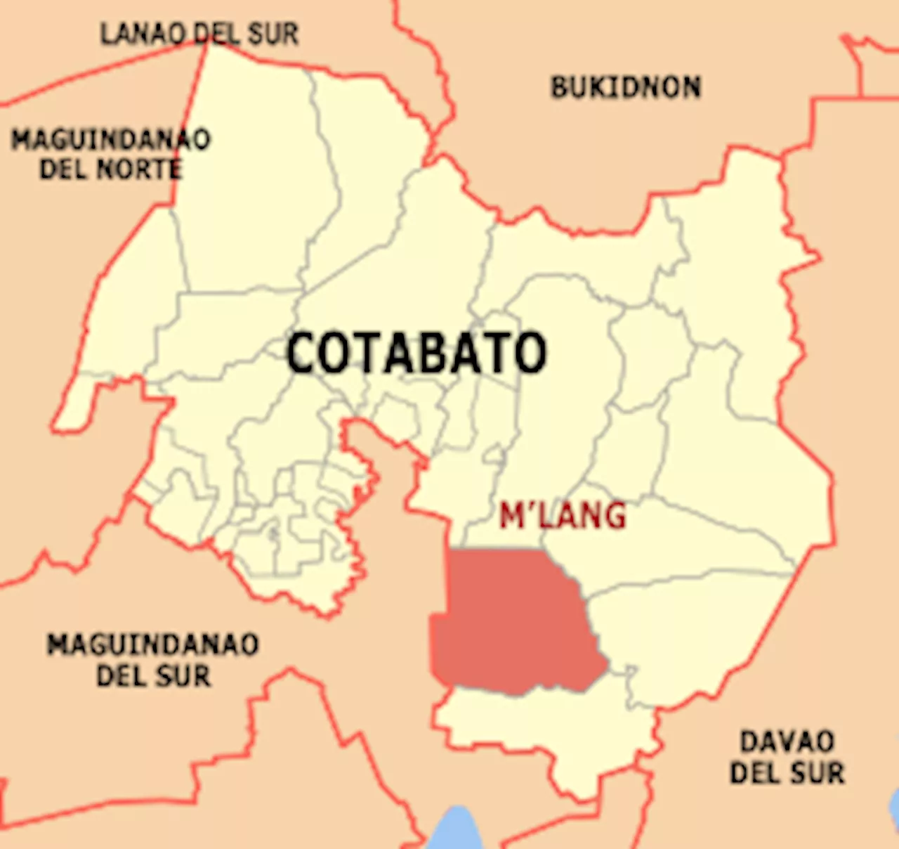 Four Chinese suspected of fraud, smuggling fall in Cotabato