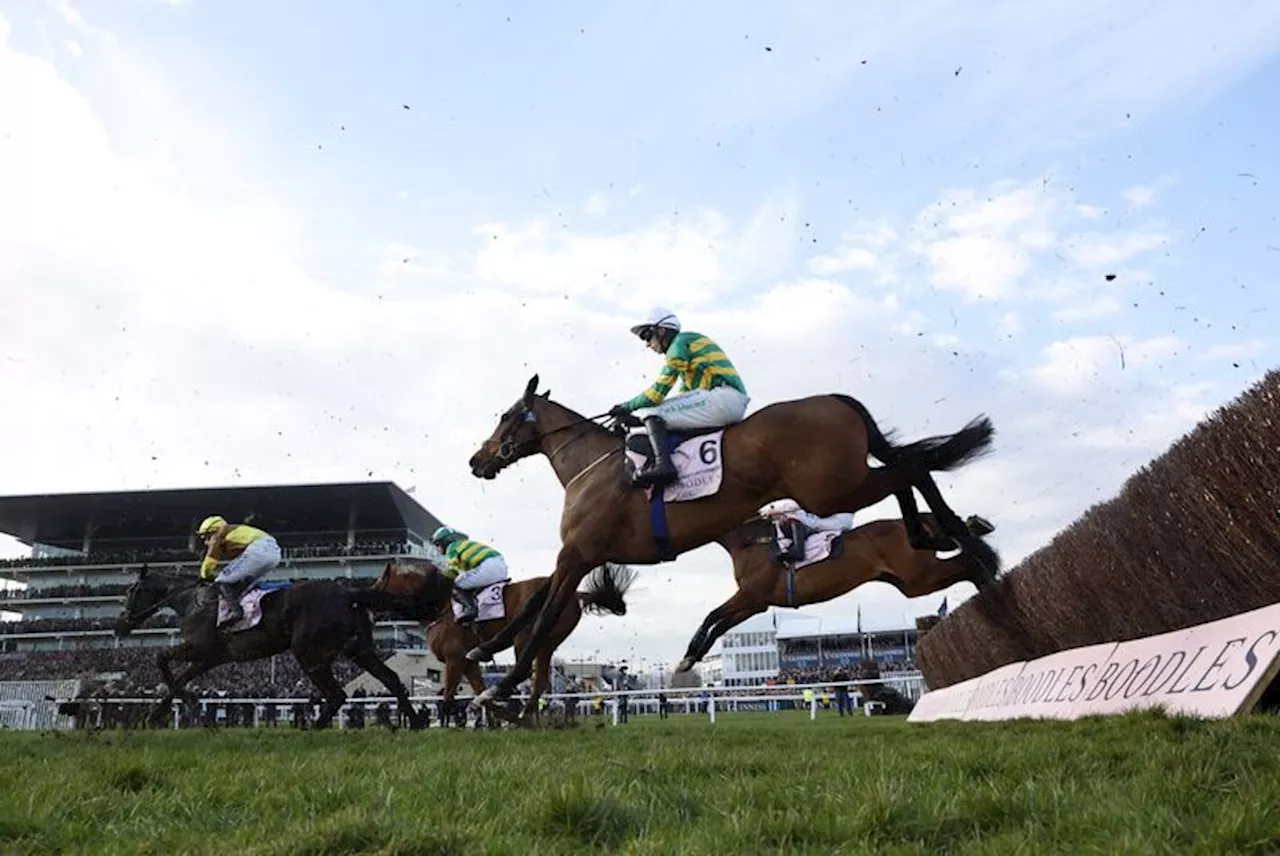 Horse racing-British authority to test for gene doping