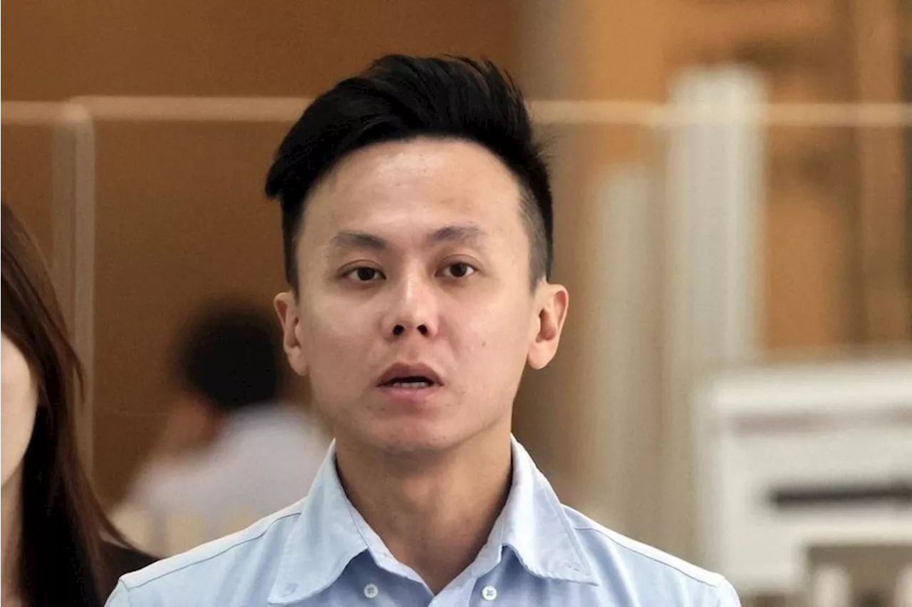 Singaporean man admits allowing passenger to take blame after he drove into traffic light pole