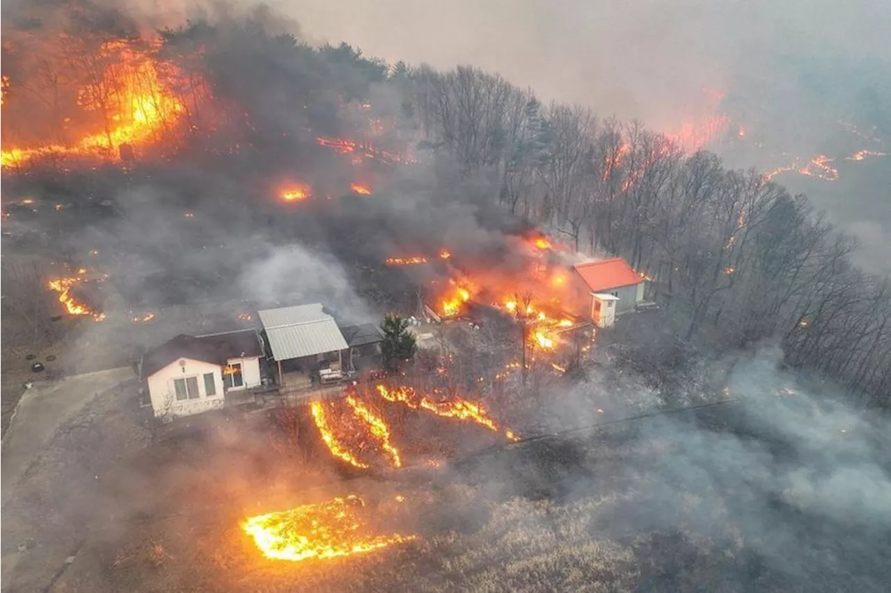 Temple burned, Unesco-site evacuated as South Korea wildfires spread