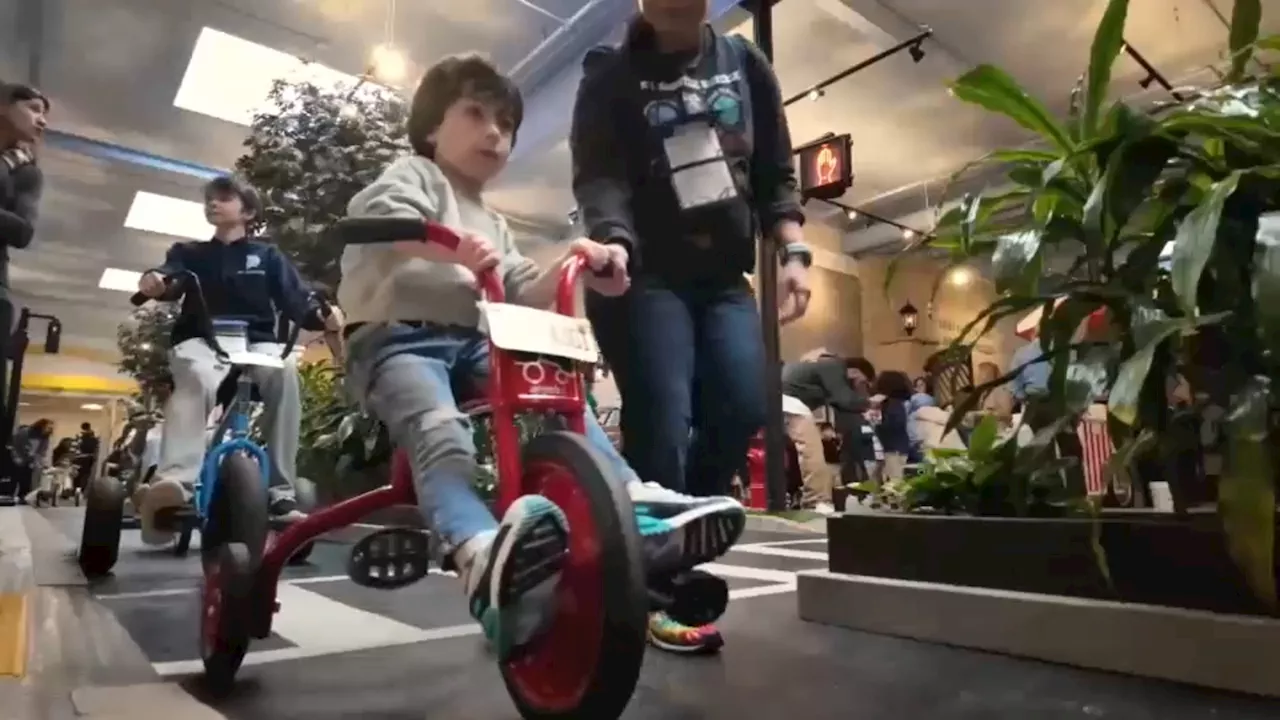 Nonprofit holds interactive shopping experience for students with special needs in Livingston