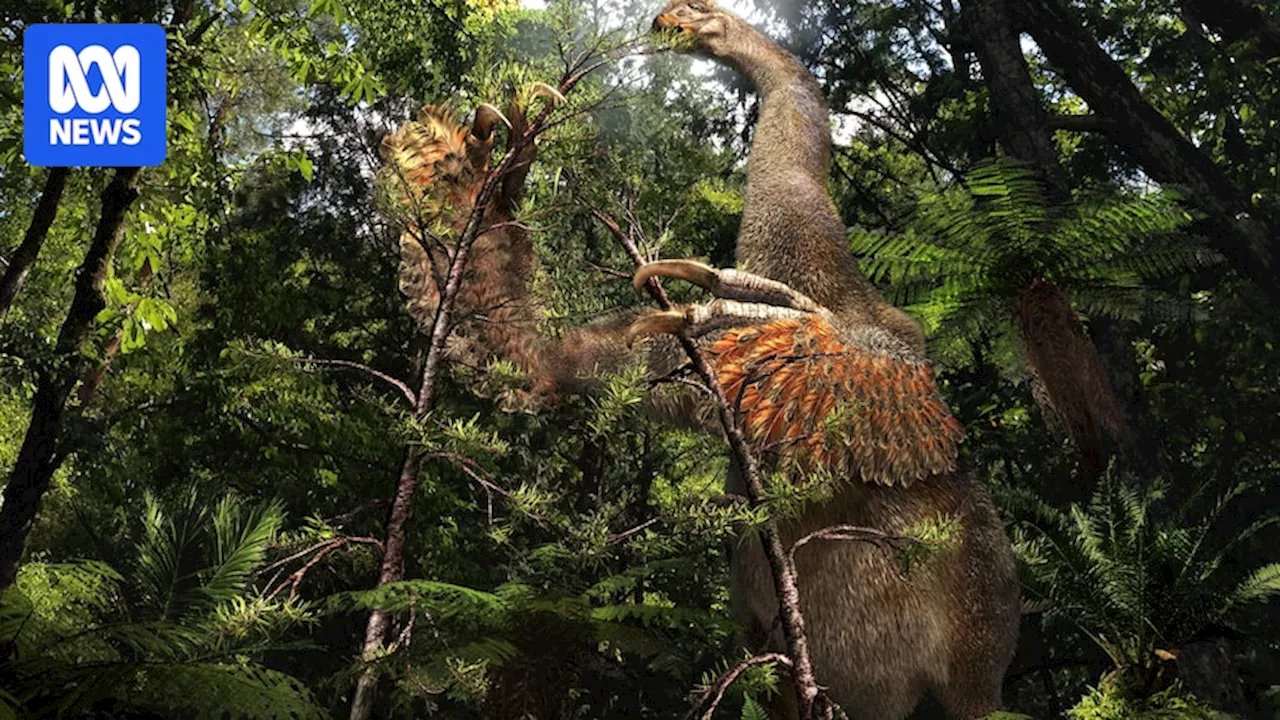A 'weird' dinosaur has been unearthed in the Gobi Desert. What do we know?