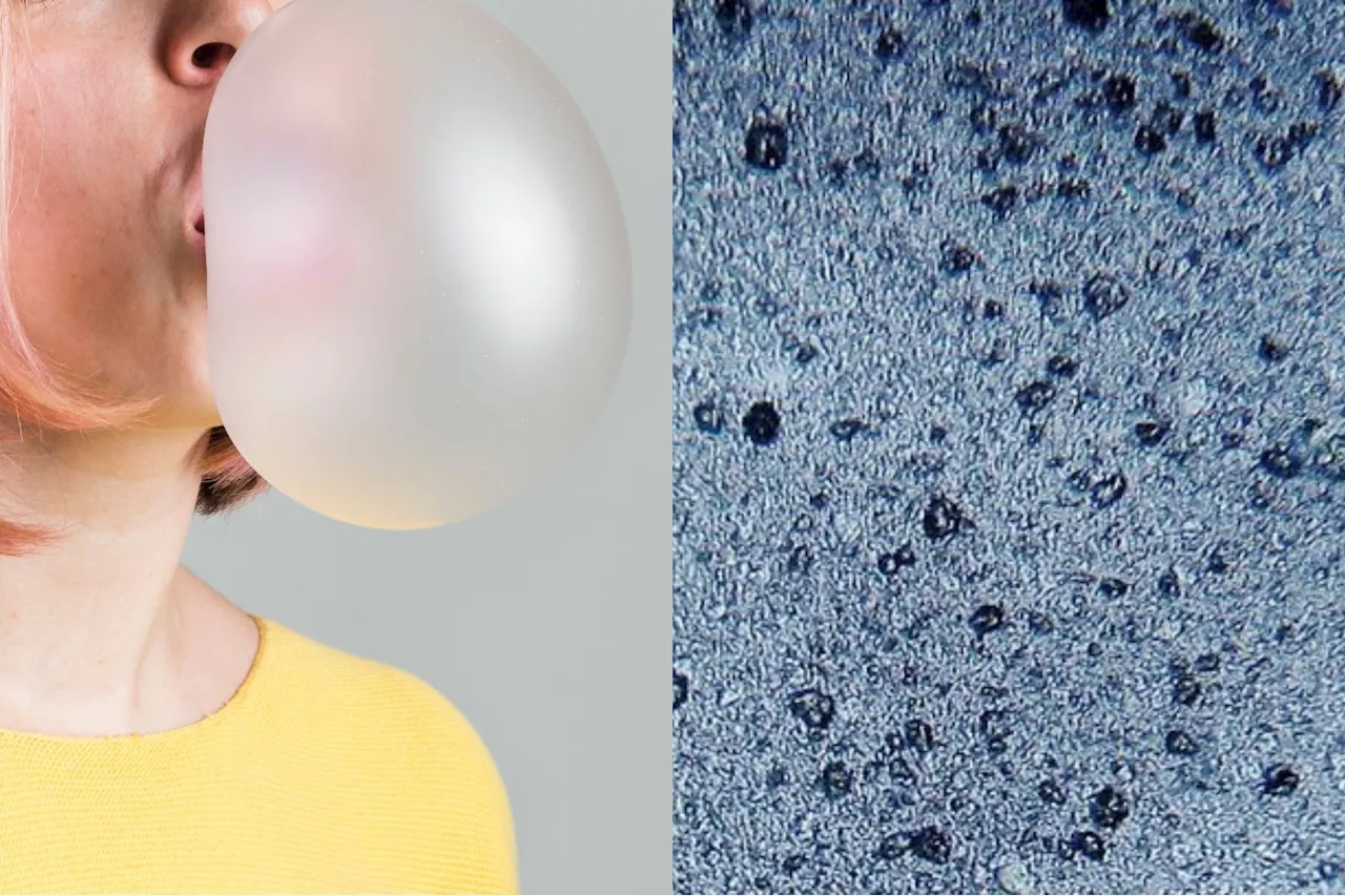 Chewing Gum Releases Thousands of Microplastics Into Our Saliva, Researchers Find