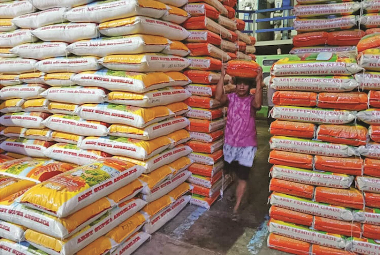Rice imports fell by nearly half in 3 months
