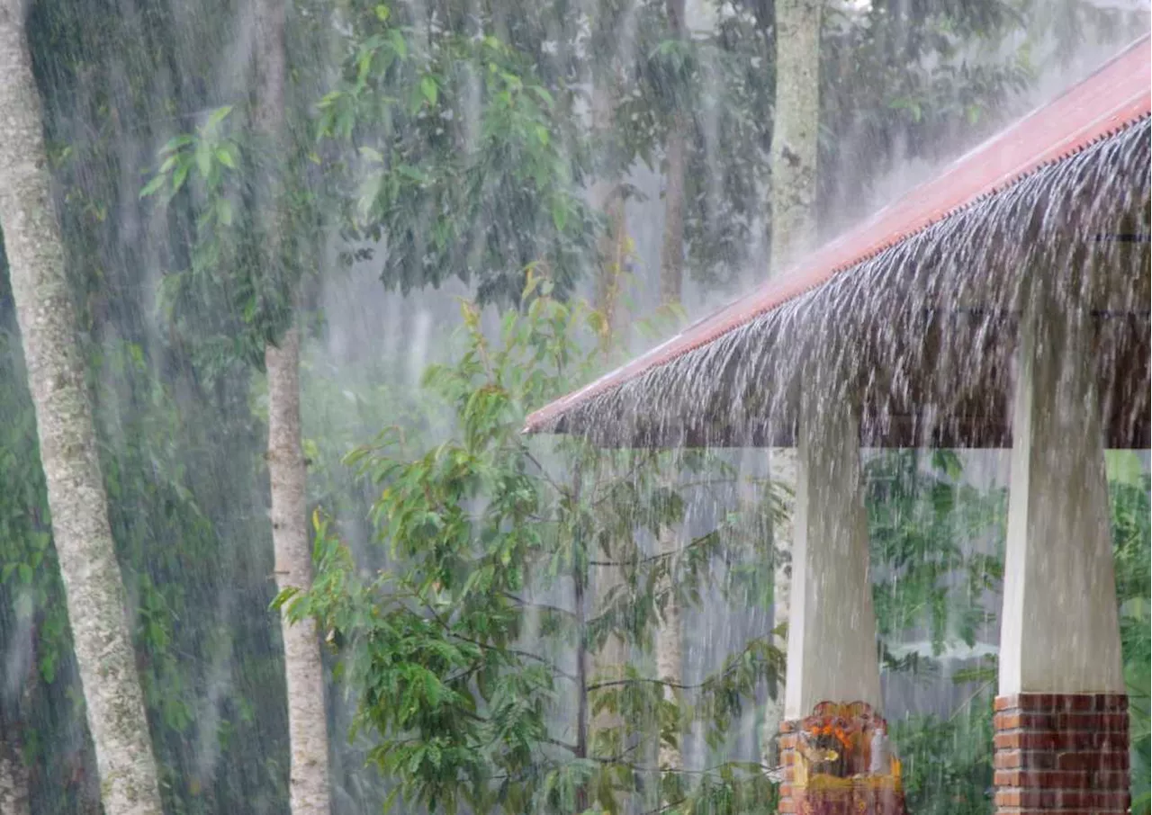 Rain of more than 30-50mm expected in Pretoria this week