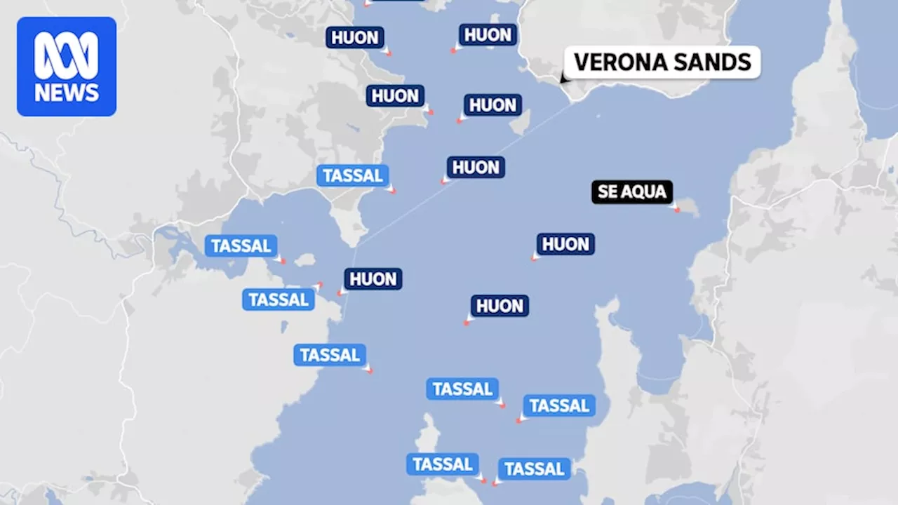How many salmon farms are there in Tasmania — and who owns them