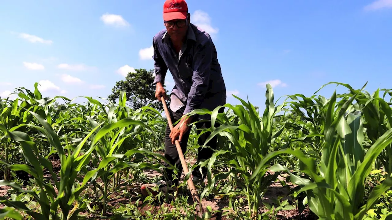“Gobierno no puede vulnerar libertad de asociación”: Consejo Gremial frente a resolución de Minagricultura