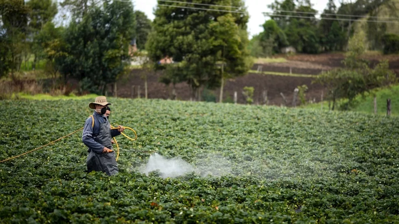 Minagricultura expidió resolución que le da autoridad hasta para cerrar gremios del sector agro