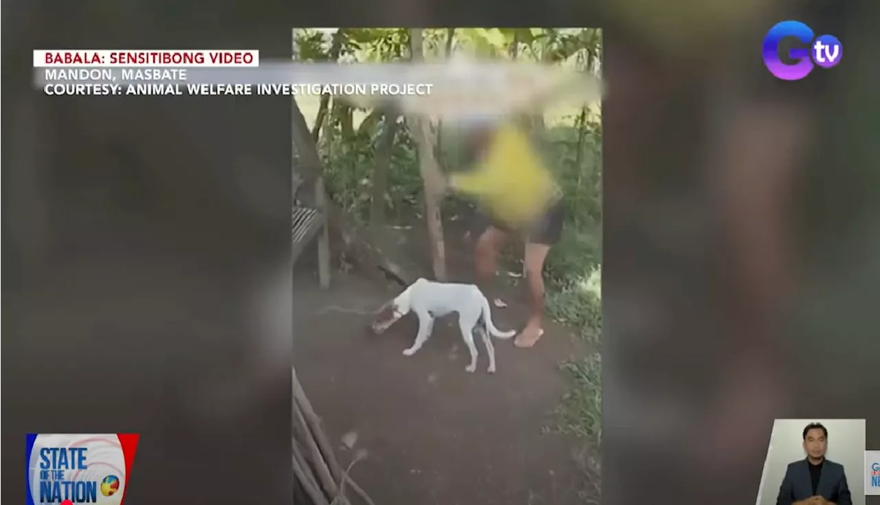 Aso sa Masbate, hinihinalang pinatay at kinunan ng video para gawing 'content'