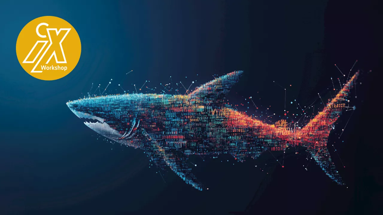 iX-Workshop: Netzwerkprobleme mit Wireshark analysieren und beheben