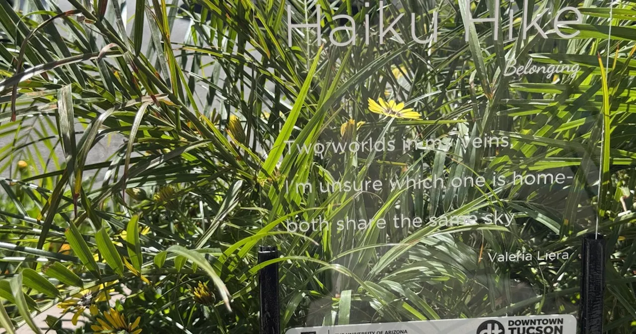 Take a Hike: Haiku's displayed in downtown Tucson for springtime