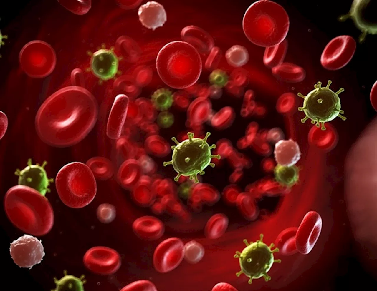 Researchers develop a reverse genetics system for African swine fever virus