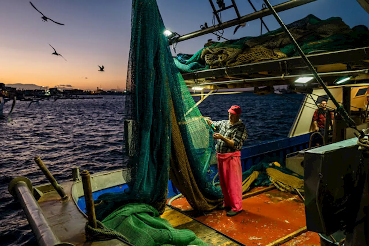 La pesca a strascico costa più di quello che rende