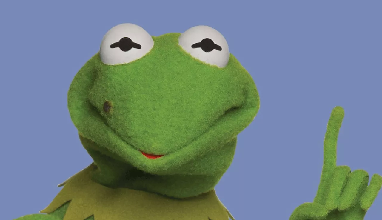 Kermit the Frog to deliver commencement speech at the University of Maryland