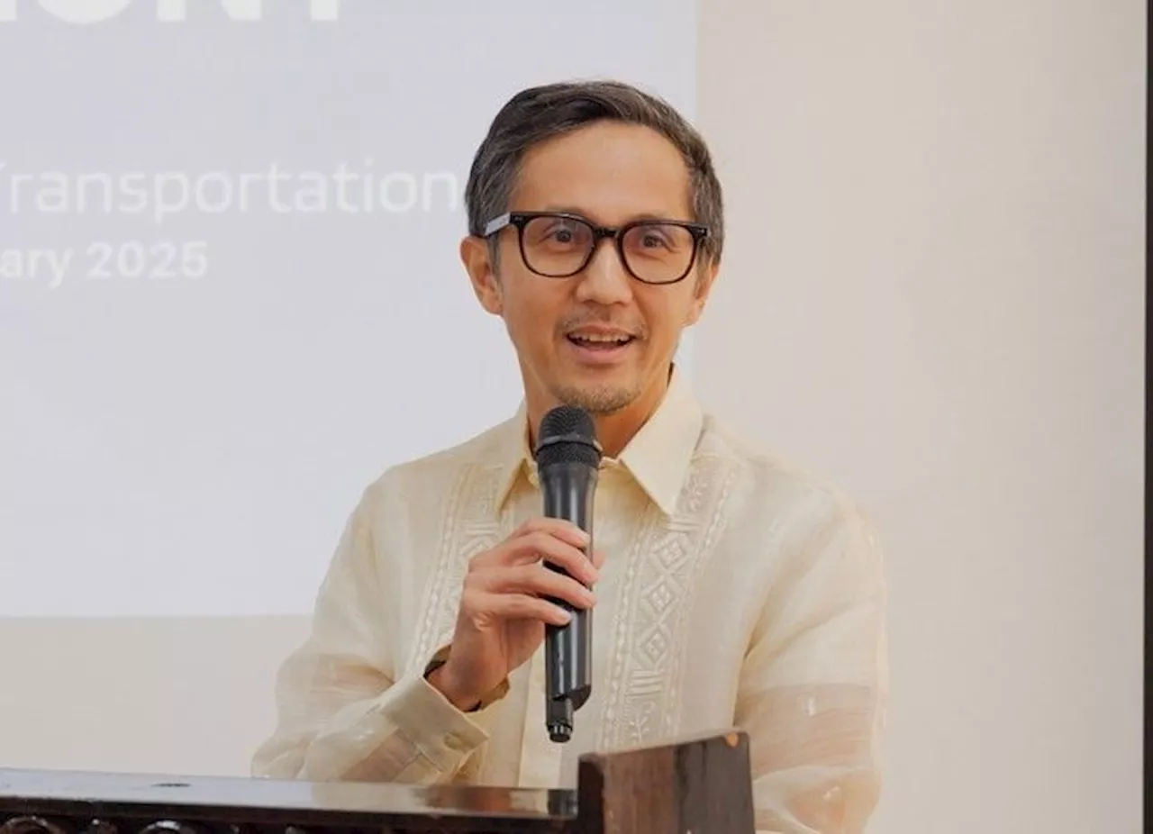 Transport chief says 'tanim-bala' issue damaging gov't reputation