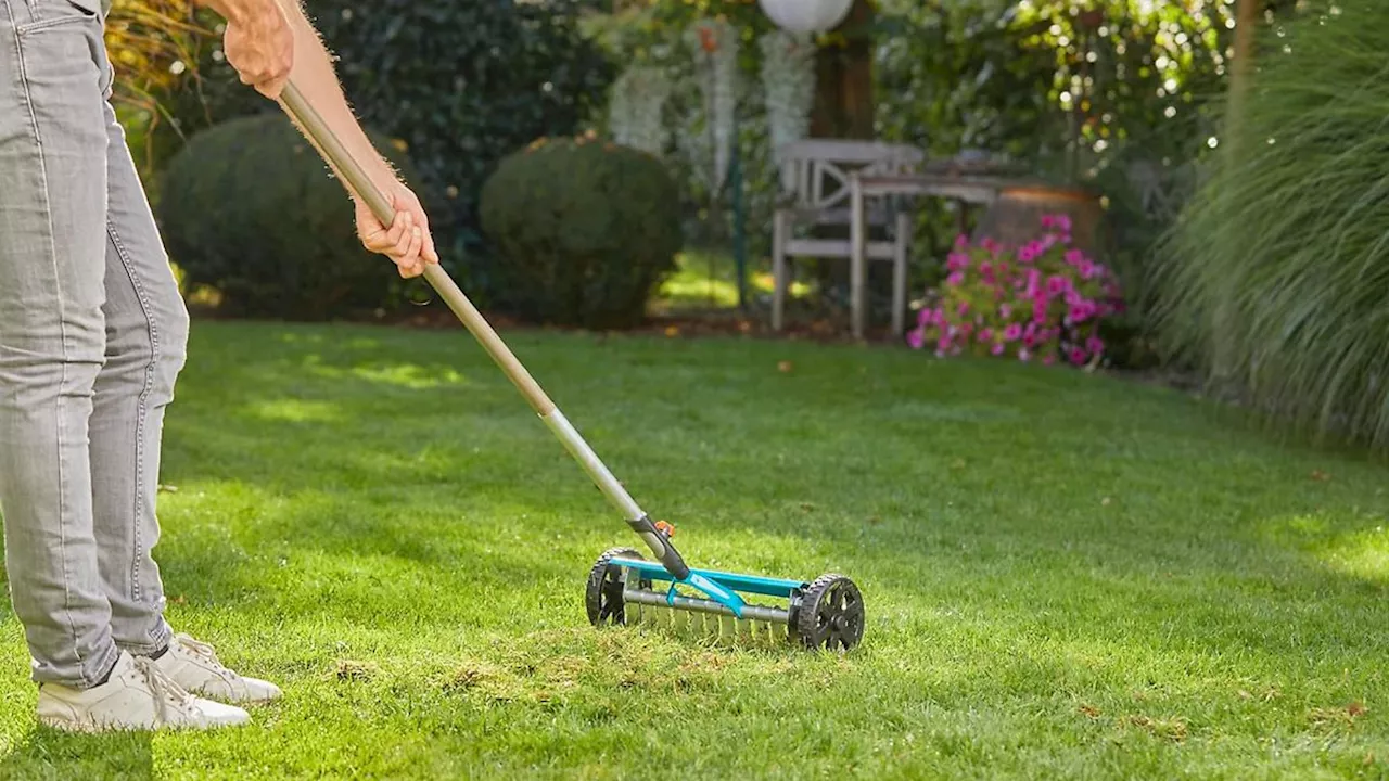 Rasen vertikutieren: Diese Tricks sollte jeder kennen