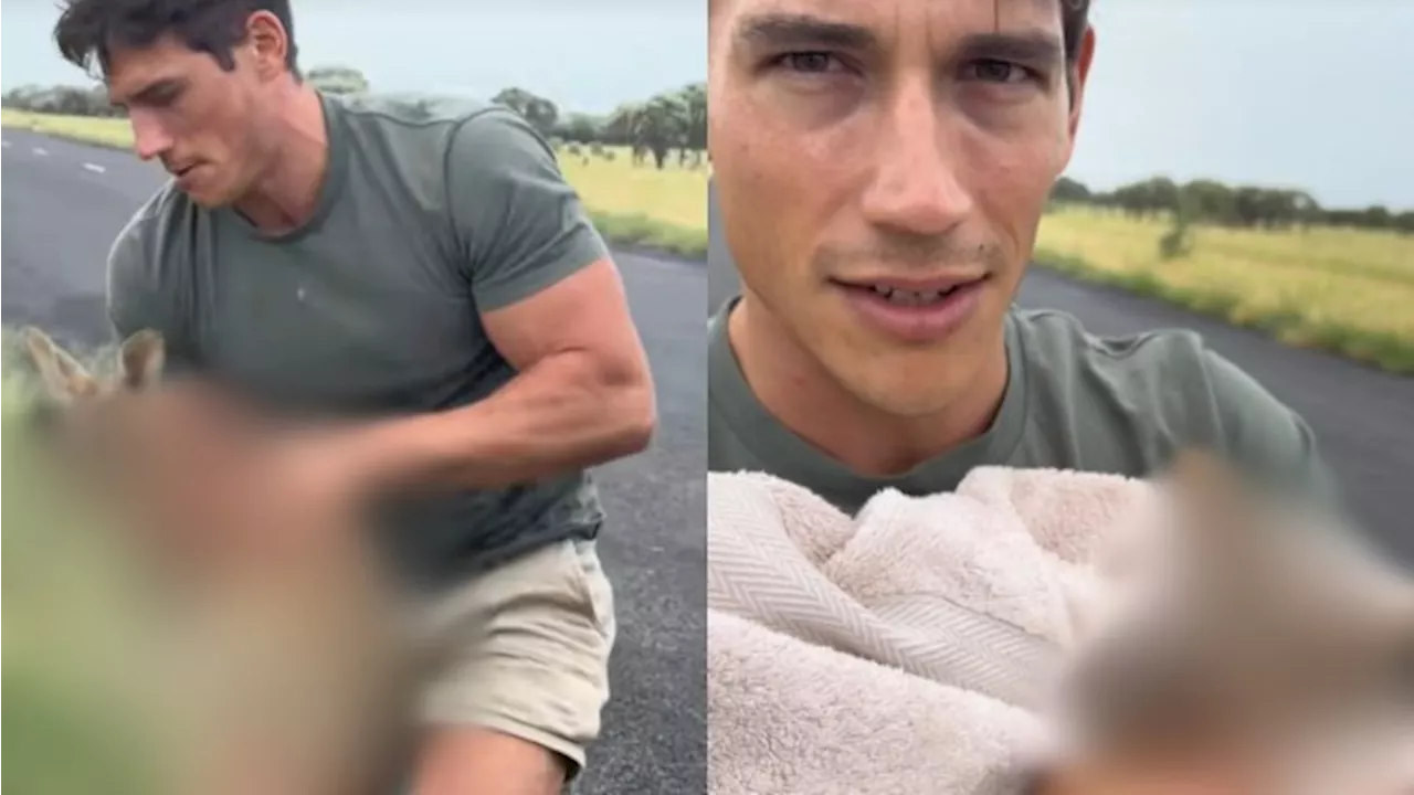Aussie rescuer reveals vet’s ‘appalling’ advice for dealing with injured joey
