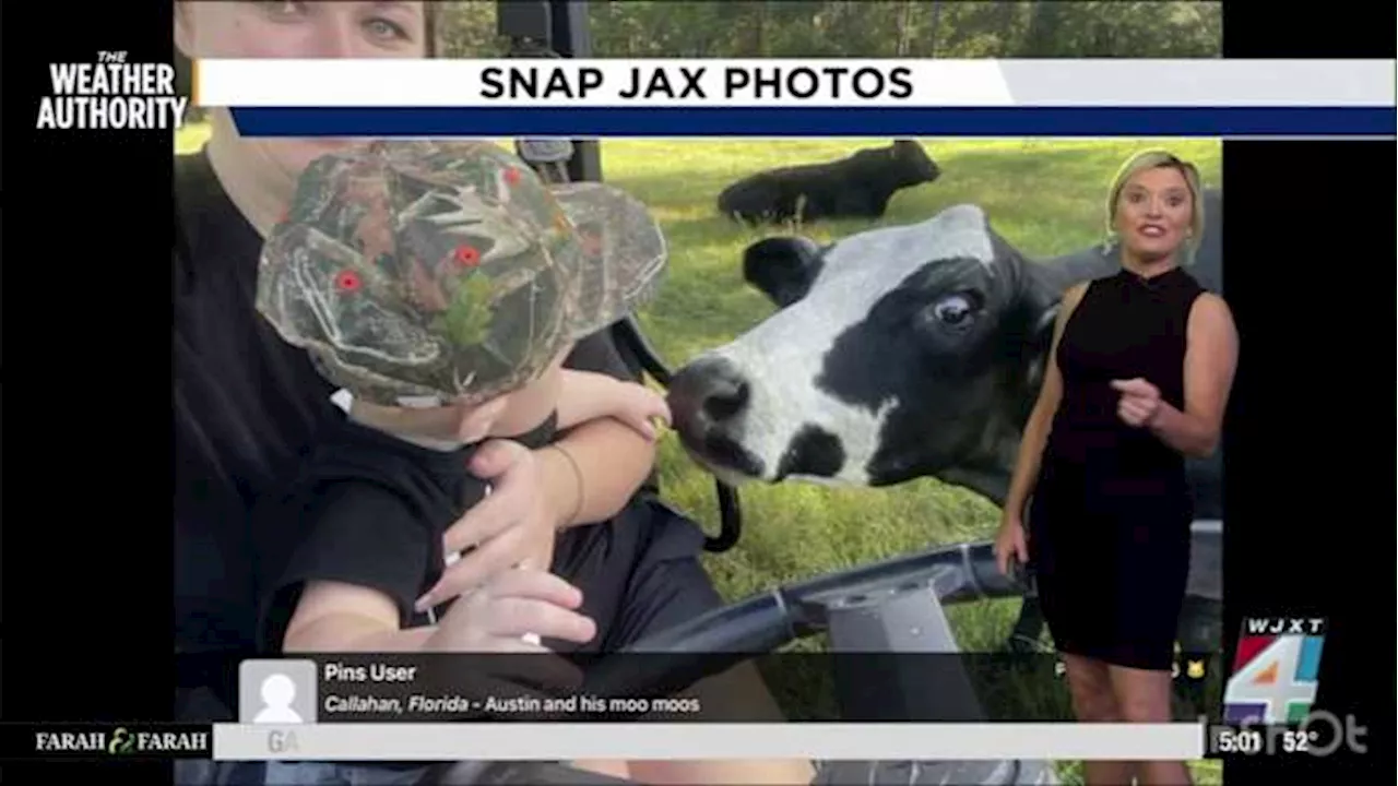 SnapJAX is back, and we want your pictures!