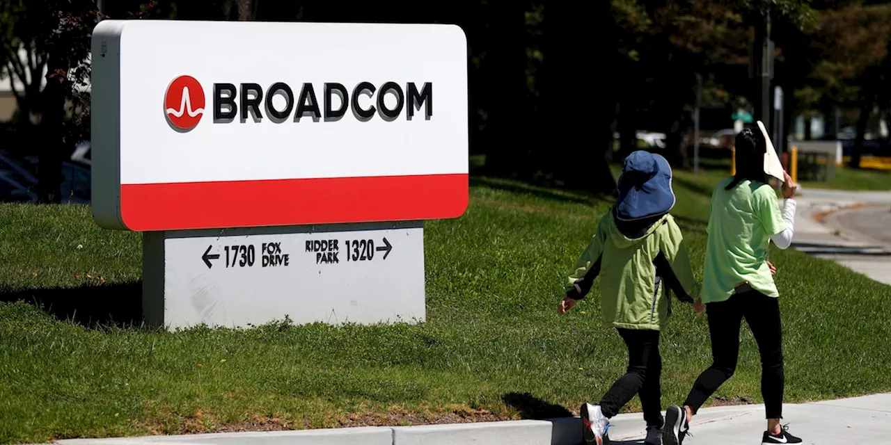 Broadcom mausert sich zum Herausforderer für Chip-Champion Nvidia