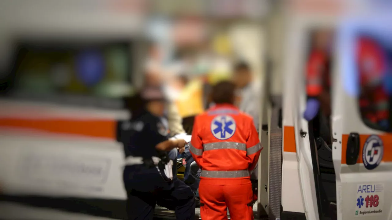 Si ferma per soccorrere un animale: 20enne travolta e uccisa da un'auto pirata