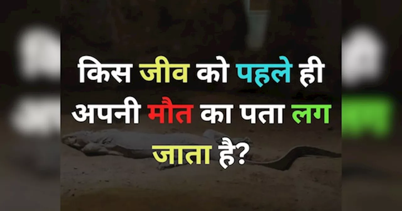 वो कौन सा जानवर है, जिसे अपनी मौत के आने का पता पहले ही चल जाता है?