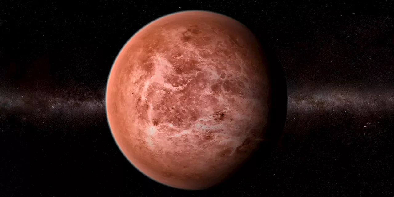 La guida definitiva a Venere retrograda