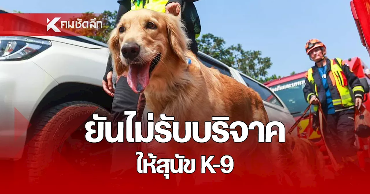 แจงชัด ยันไม่ได้เปิดรับบริจาคให้สุนัข K-9 ย้ำดูแลน้องอย่างดี
