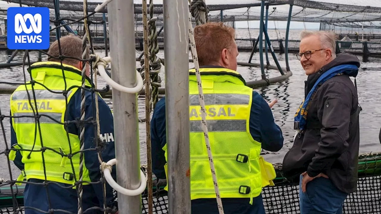 Open letter to PM by conservation groups calls for ditching of salmon protection legislation in Tasmania