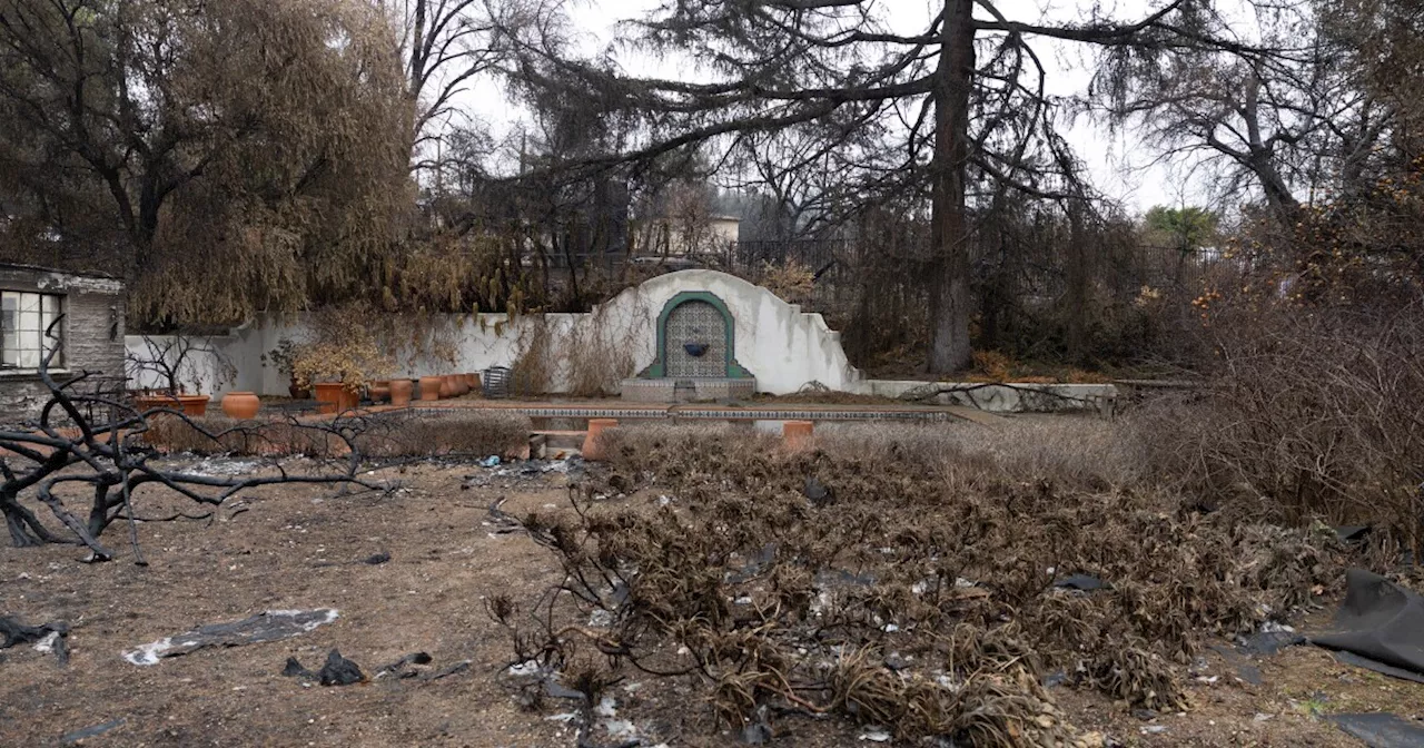 Eaton Fire Survivors Can Now Opt to Save Trees Despite Hazard Classifications