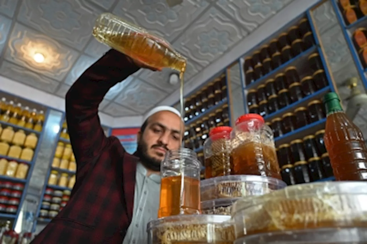 Where have all the flowers gone? Pakistani beekeepers battle climate change to keep hives buzzing and honey flowing