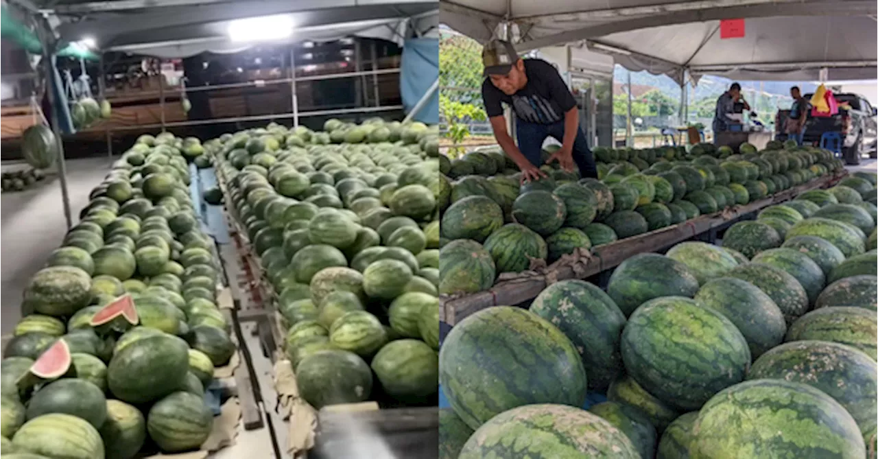 Watermelon Vendor Suffers RM3,000 Loss After Mistaken Free Giveaway