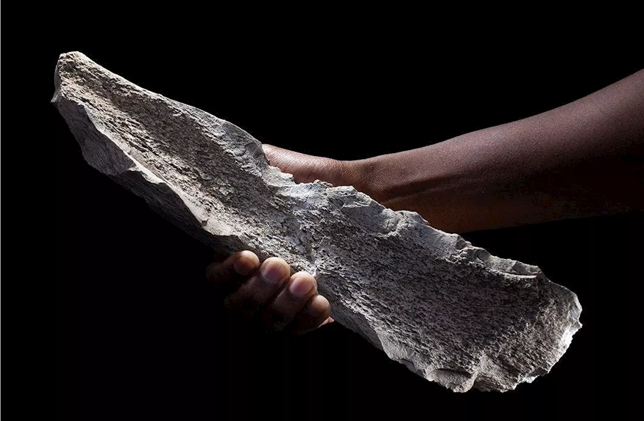 Human ancestors making ‘bone tech’ 1.5 million years ago, say scientists