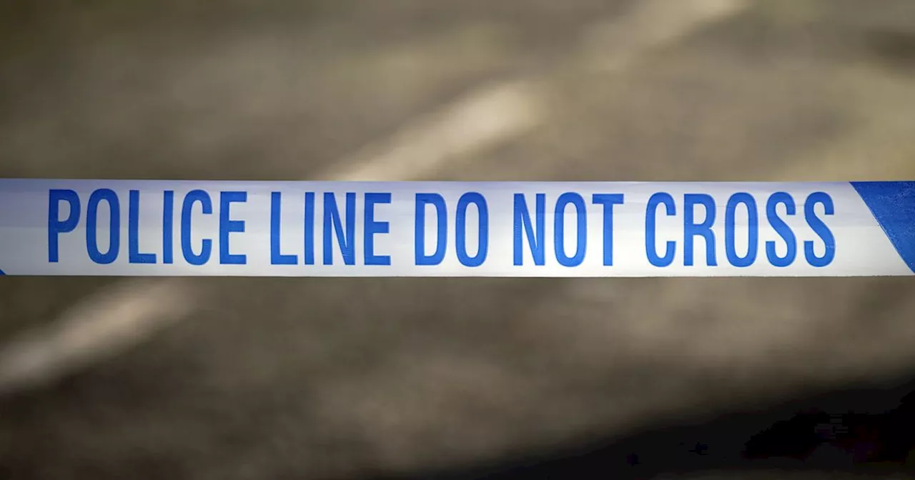 Child dies and another seriously injured after car driven on to sports pitch