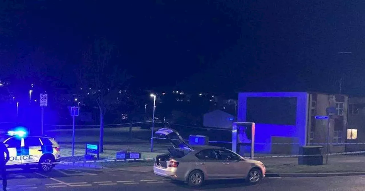 Pensioner murdered in Dungannon named as three people remain in custody