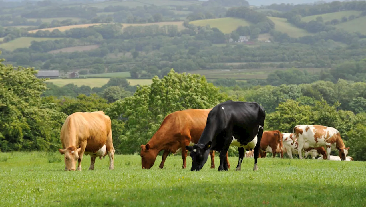 Trespassing on farms on the rise across Ireland with perpetrators getting violent