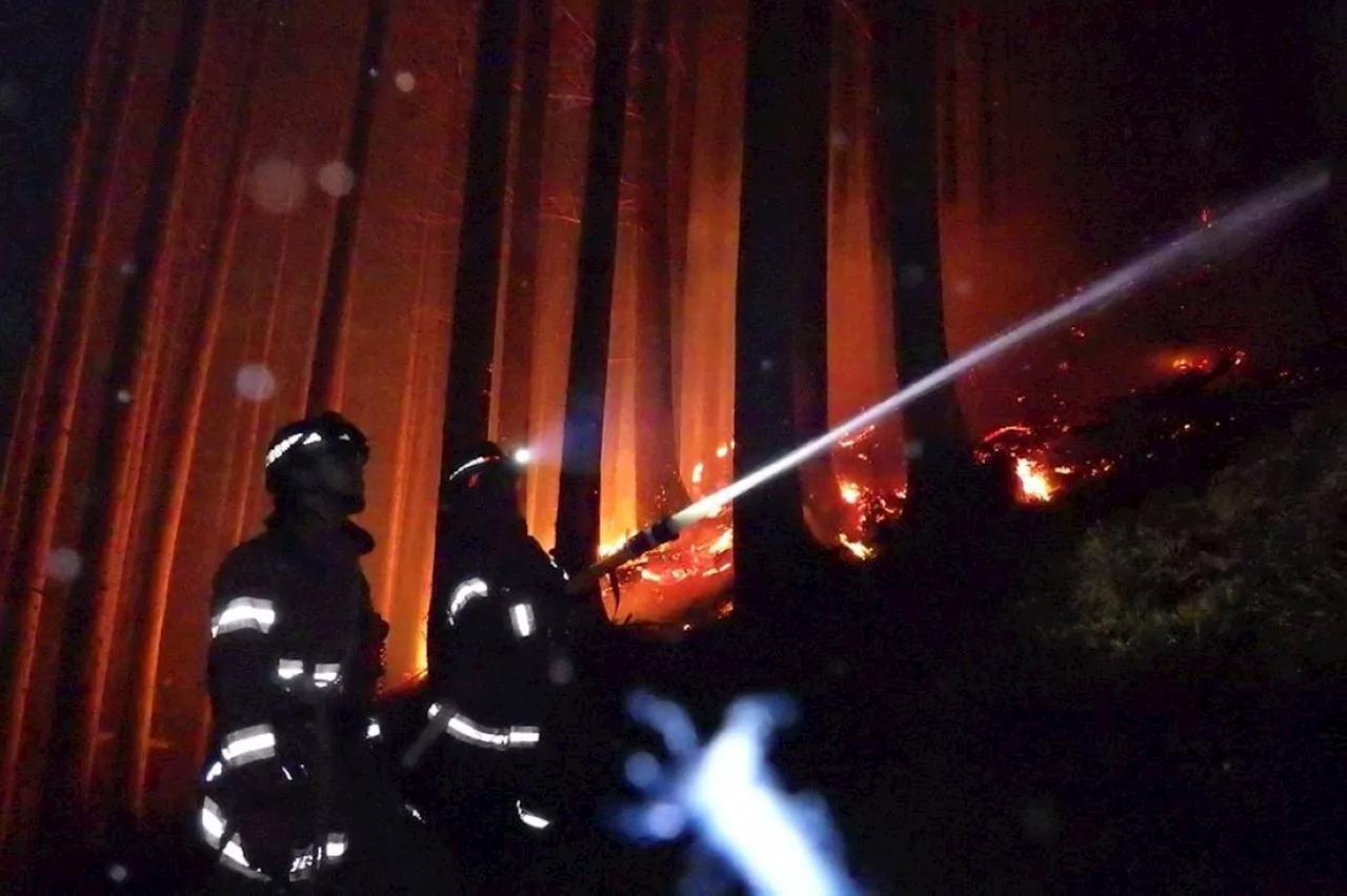 Wet weather promises relief from Japan wildfire