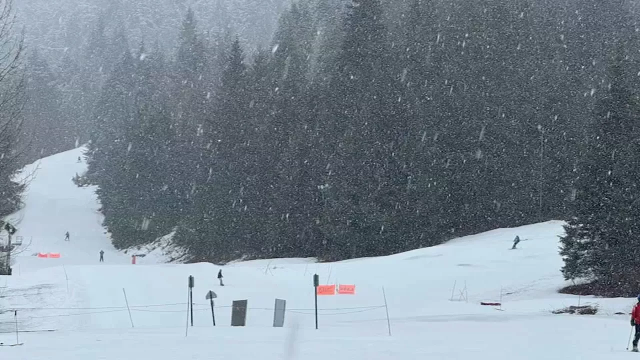 Avalanche buries 3 skiers near Anchorage, Alaska officials say