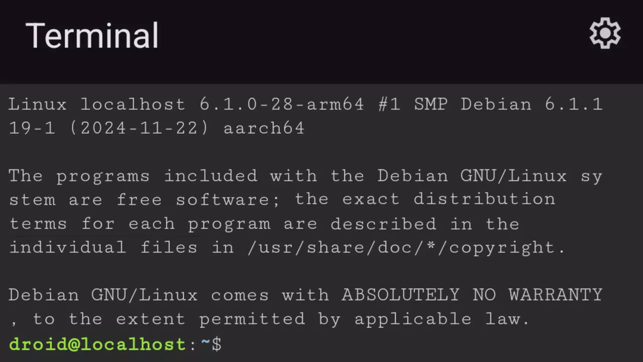 Google Pixel: März-Feature-Drop enthält Linux-Terminal-App