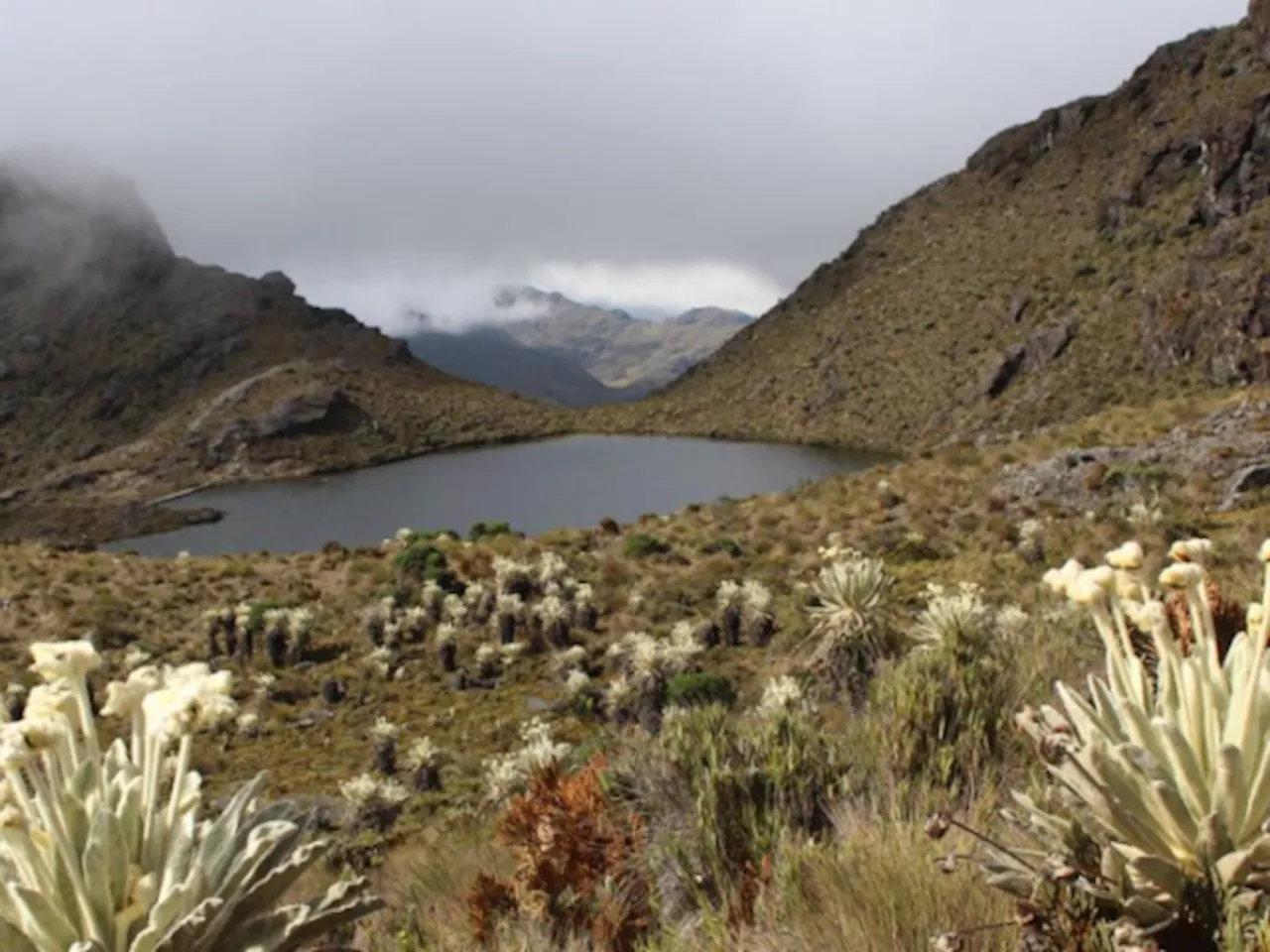 Minambiente publicó resolución que crea zona de reserva temporal en páramo de Santurbán