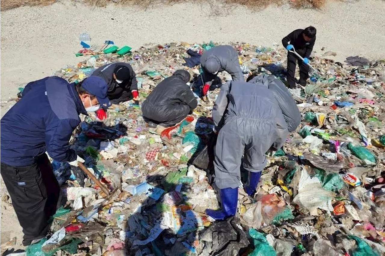 South Korea govt workers search through trash for eight hours to find woman’s lost money