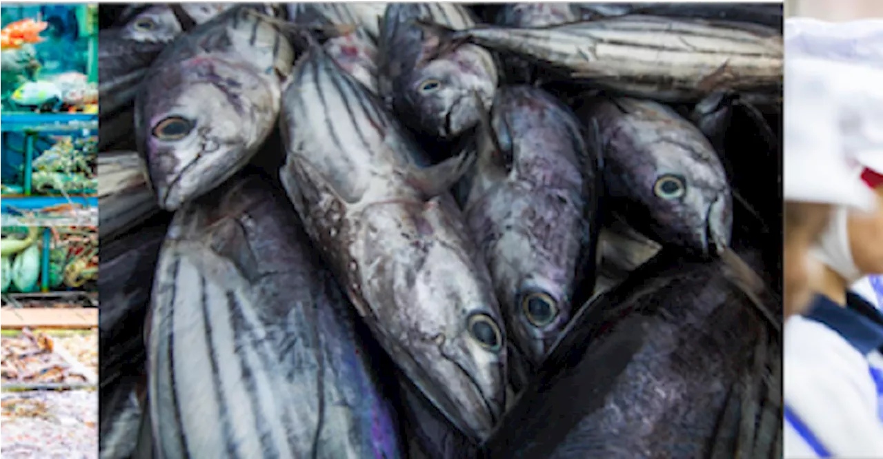 Seafood stakeholders call for a level playing field for Sustainability