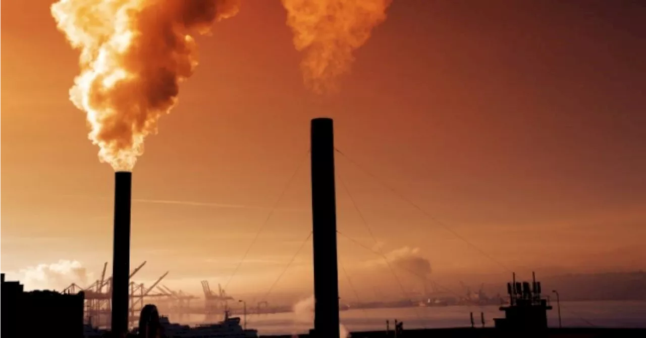 Metade das emissões globais de carbono está ligada a apenas 36 empresas, revela estudo