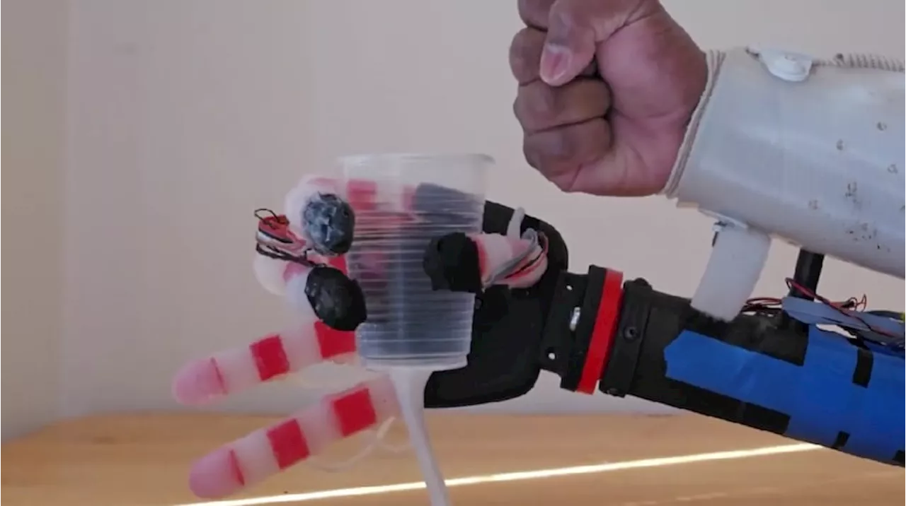 Así es la mano robótica creada con IA que reconoce objetos frágiles y ajusta su fuerza de agarre