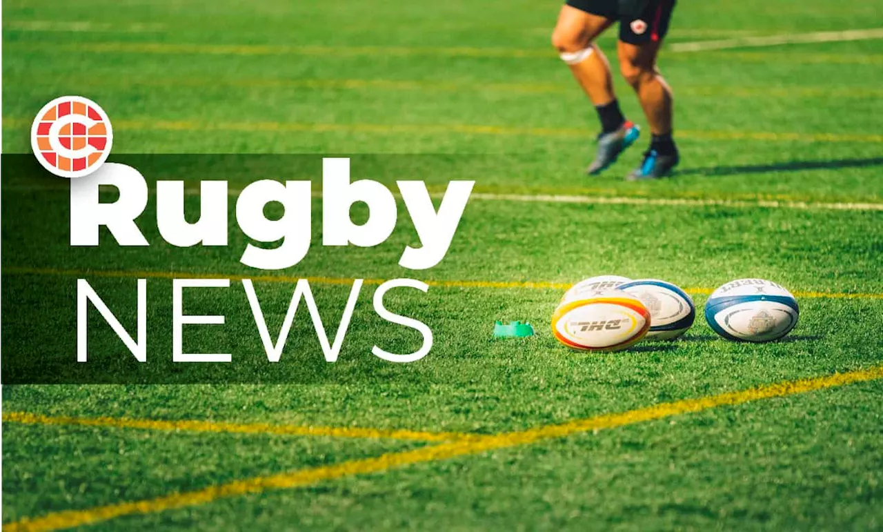 Bulls, Stormers in tug of war for Exeter Chiefs loose forward?